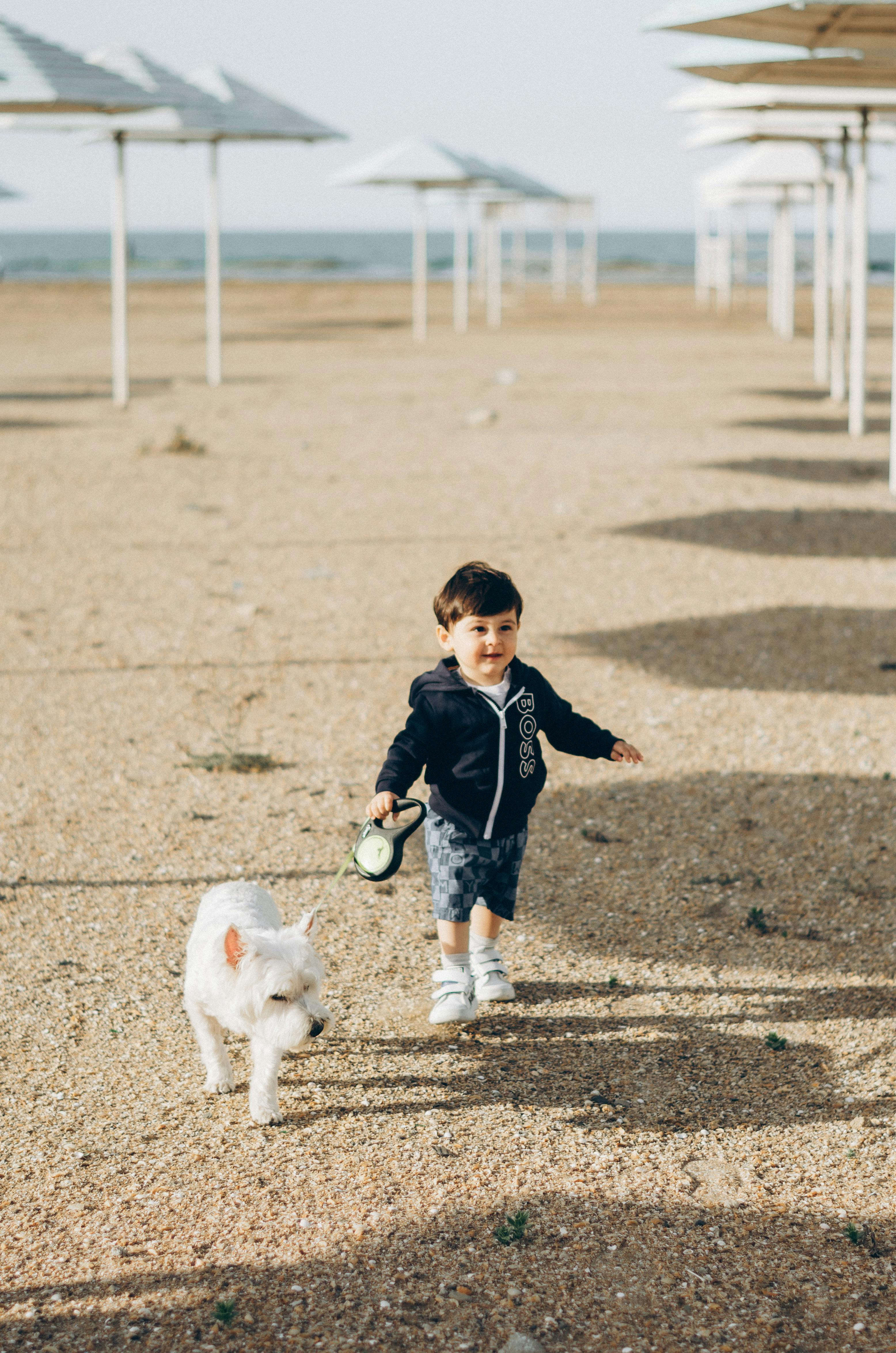 A young boy walks with his dog on a sunny beach in Baku, Azerbaijan.