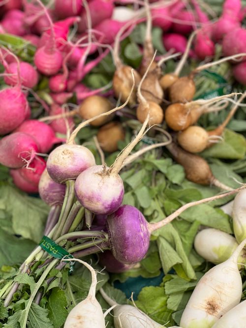 Free A vibrant assortment of freshly harvested radishes displaying natural color variations at a farmer's market. Stock Photo