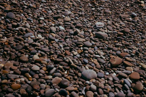 Gratis stockfoto met rotsen, strand