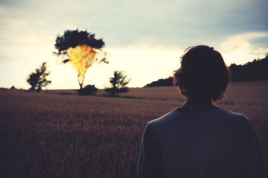 A silhouette of a person standing in a field, gazing at a scenic sunset with trees in the distance.