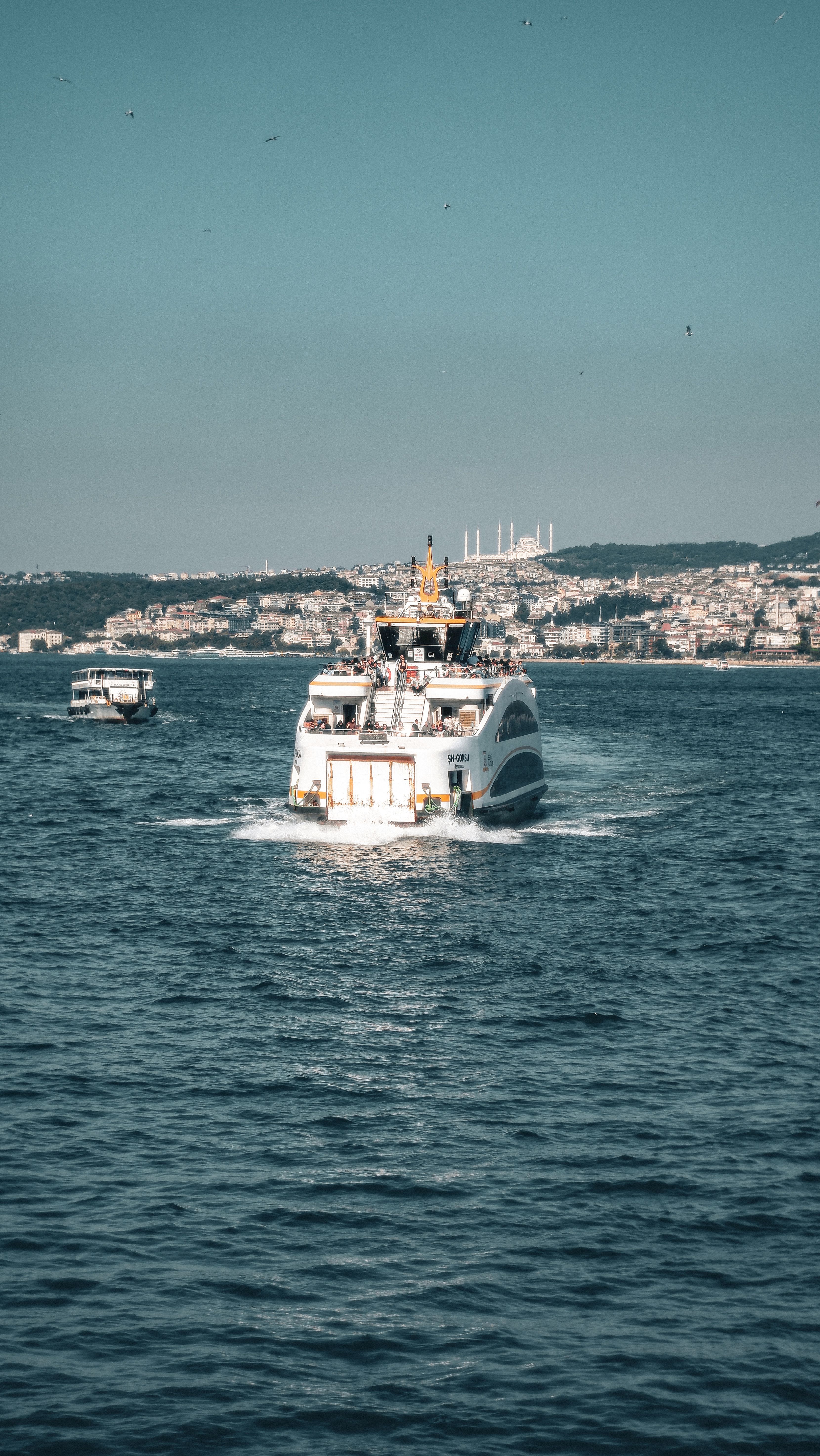 View of a Ferry Crossing the Bosphorus Strait · Free Stock Photo
