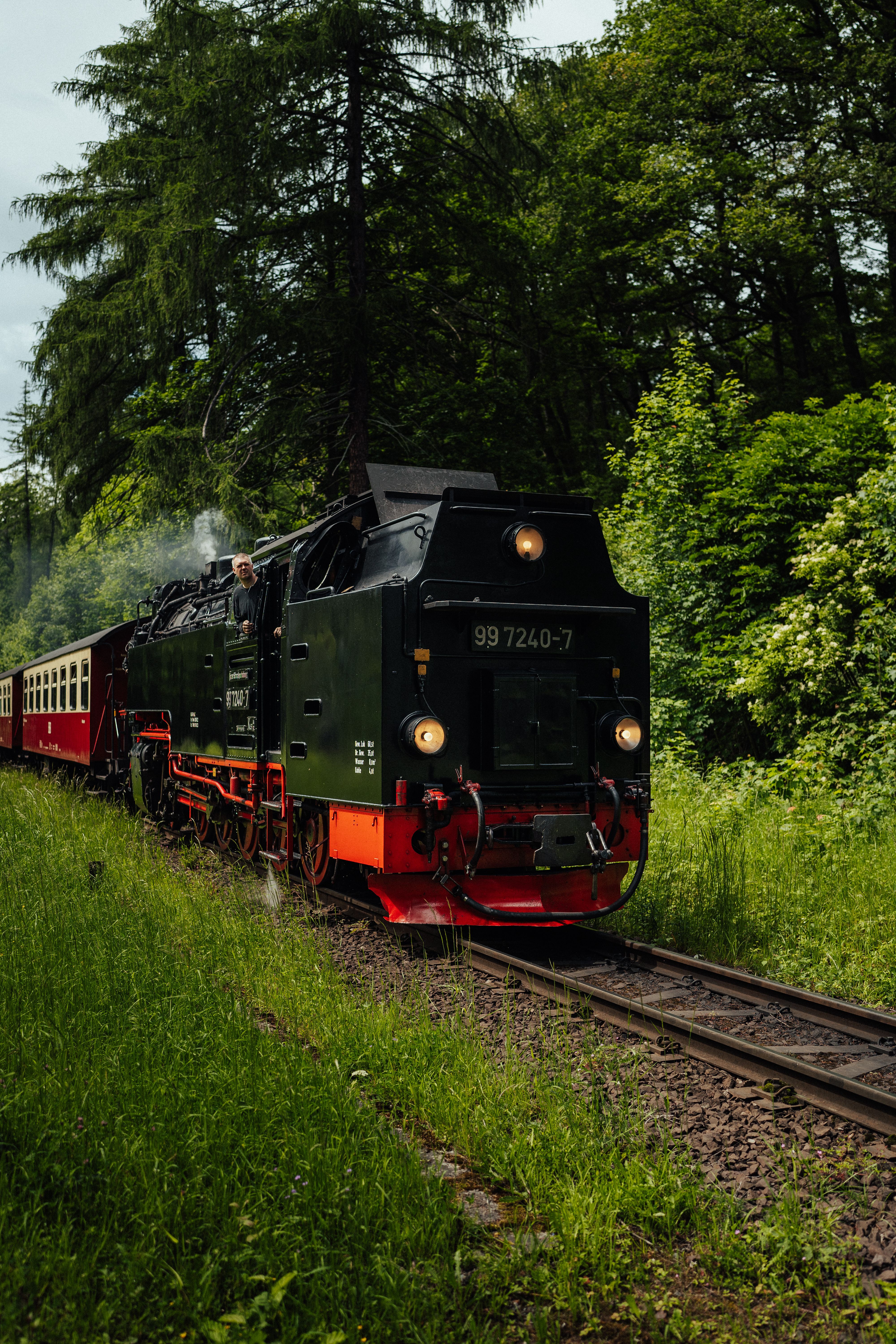 A nostalgic steam locomotive travels through a verdant forest, evoking a retro travel charm.