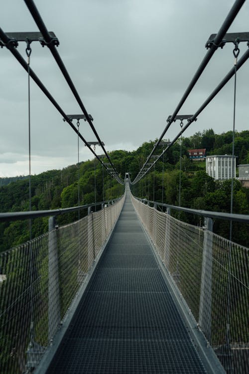 交通系統, 光, 吊橋 的 免费素材图片