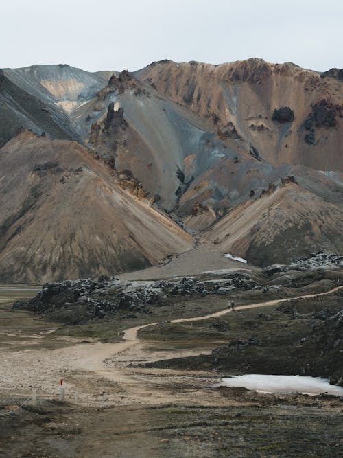 布朗山