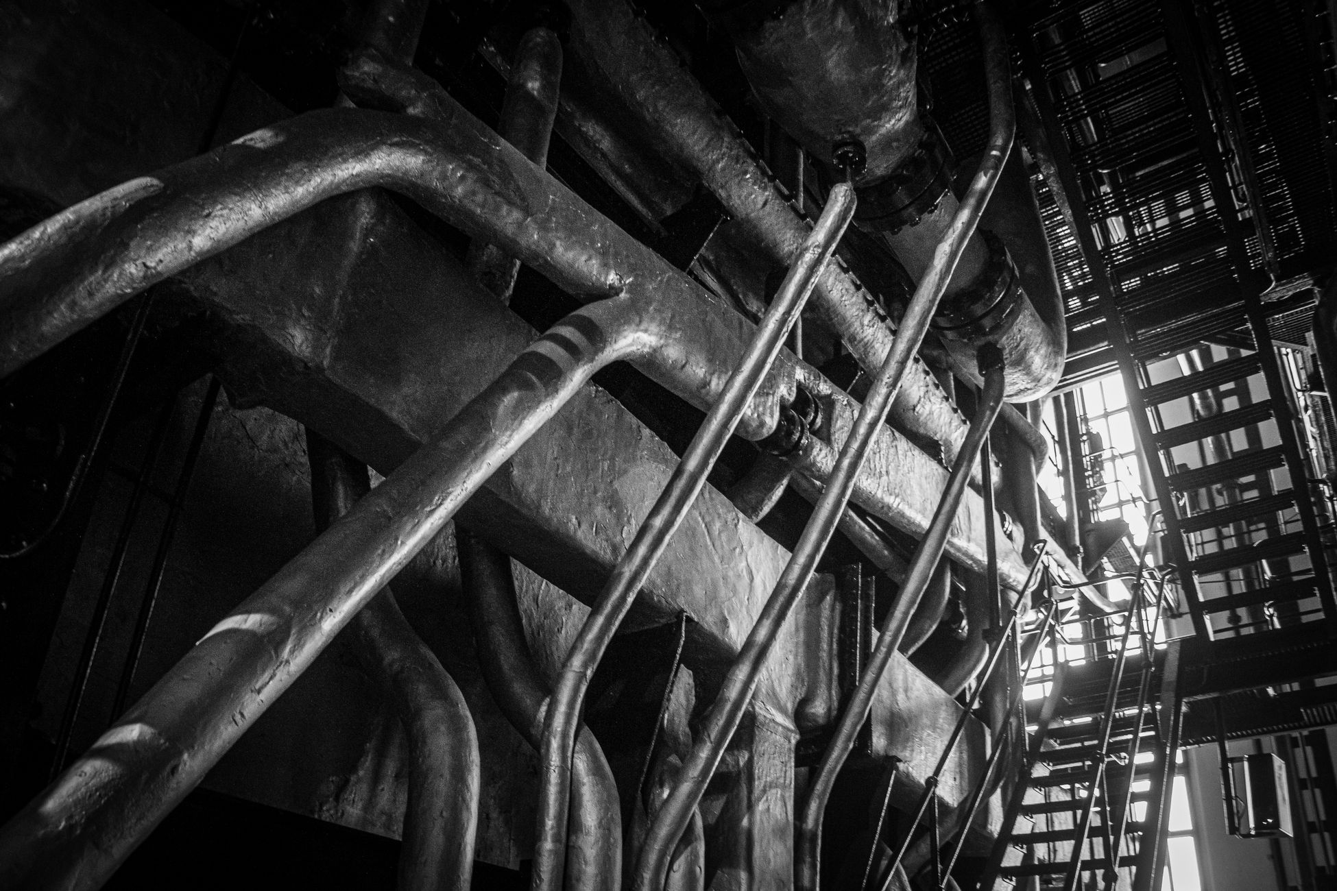 Tata Steel beëindigt contract met Donald Pols wegens extreemrechts verleden