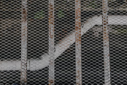 Photo of a Pipe and a Steel Wire Mesh