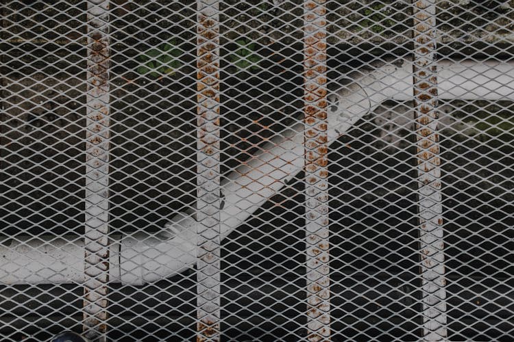 Photo Of A Pipe And A Steel Wire Mesh