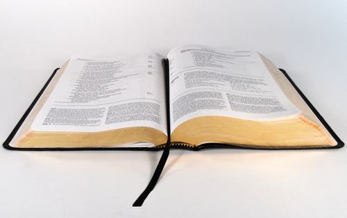 Free Elegant hardcover book open to a page, ideal for education and literature themes. Stock Photo
