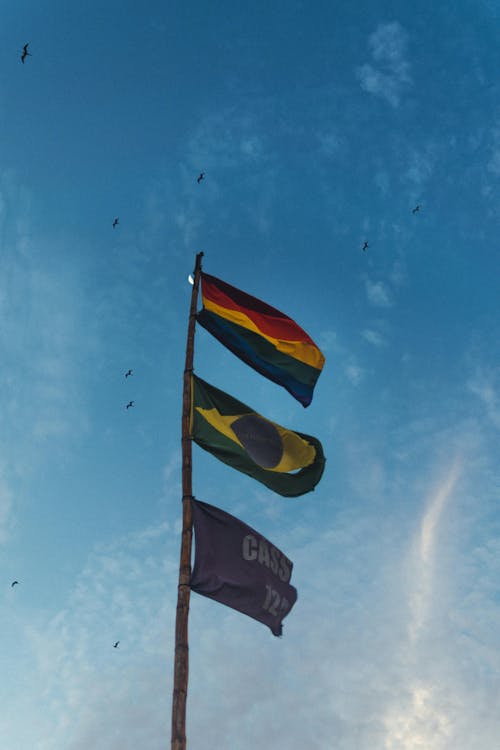 Gratis lagerfoto af landskab, LGBT, lgbt flag