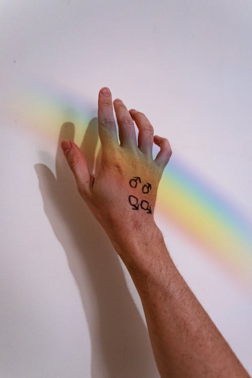 Gratis stockfoto met aanraken, arco iris, bont