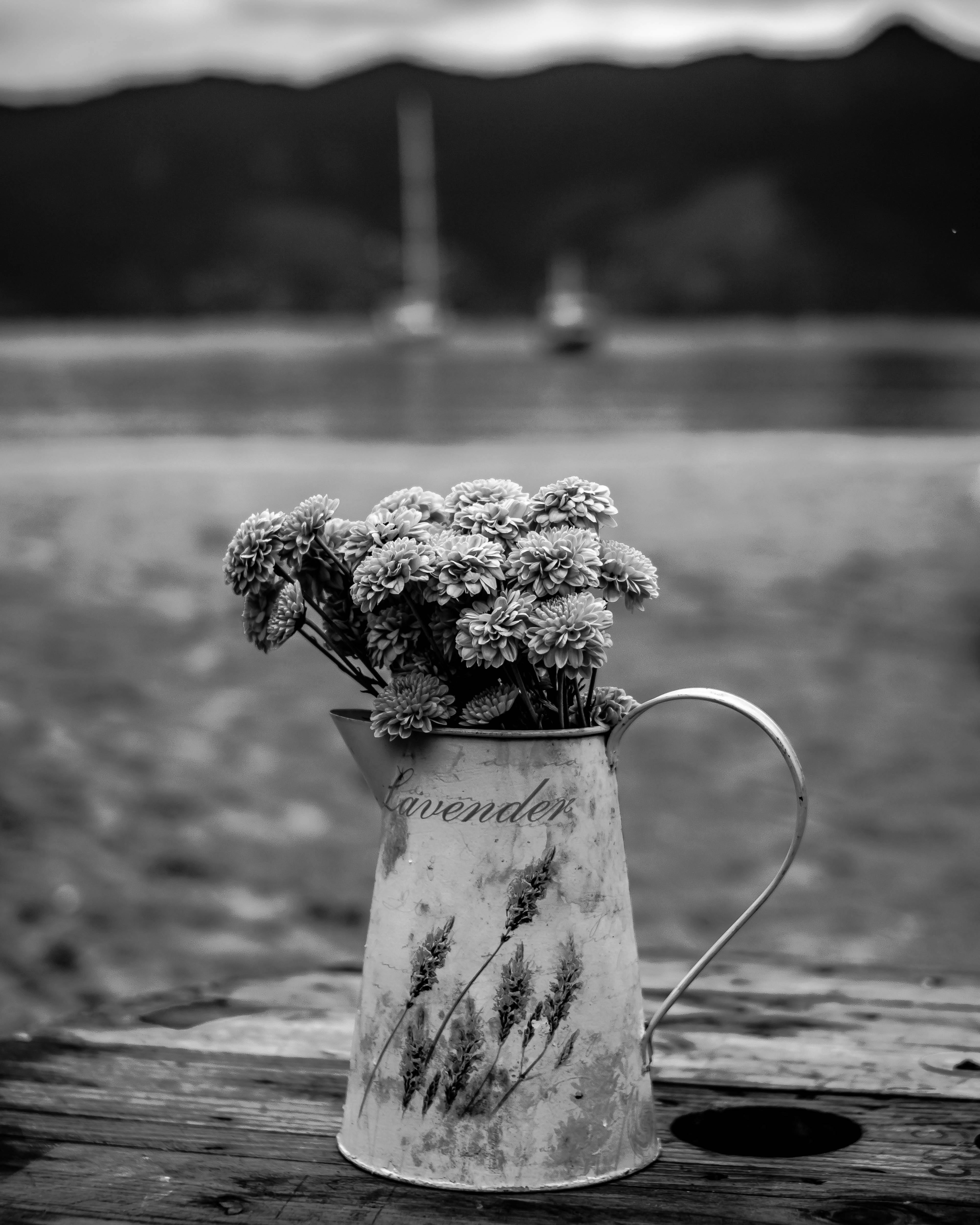 巴西圣塞巴斯蒂安海岸的一张木桌上，放着一个插着鲜花的乡村水罐