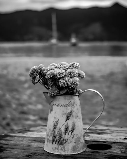 Grayscale Photography of Flower in Kettle on Top of Brown Wooden Table