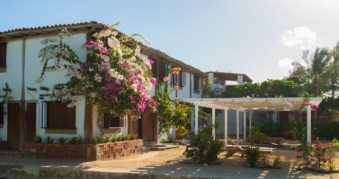 委内瑞拉格兰罗克有一座风景如画的传统房屋，里面种满了充满活力的九重葛