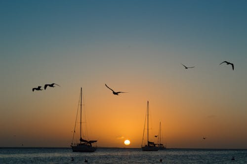 Foto d'estoc gratuïta de barca, barques, capvespre