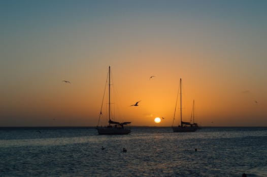 委内瑞拉格兰罗克水域上空，帆船与鸟类在宁静的日落景色中相映成趣