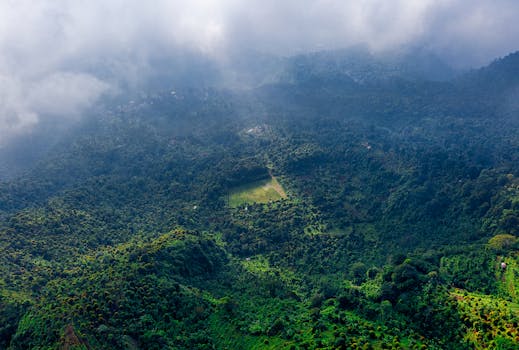 A serene aerial view of dense green forests under a cloudy sky, showcasing nature's beauty.