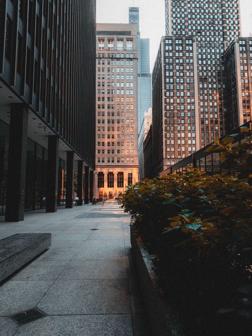 Free Stunning dawn view of modern skyscrapers in an urban cityscape with soft lighting. Stock Photo
