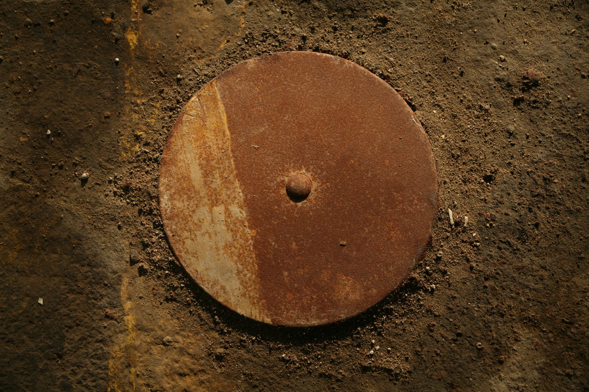 Die Himmelsscheibe von Nebra