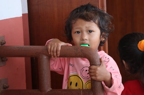 Δωρεάν στοκ φωτογραφιών με nepali, δημοφιλές παιδικό τραγούδι του Νεπάλ, ιστορία του Νεπάλ
