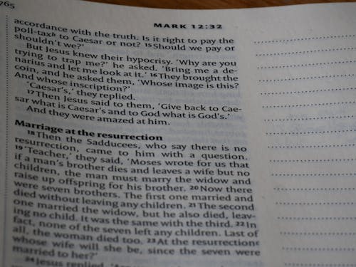 Základová fotografie zdarma na téma bible, bokeh, čtení