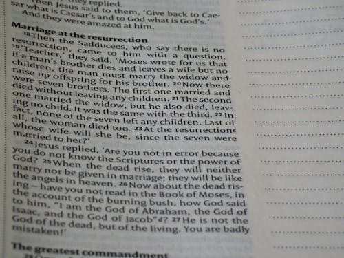 Foto stok gratis Alkitab, ayat suci, bokeh