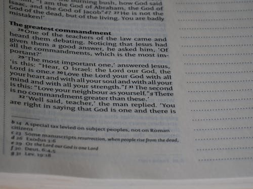 공관복음, 기도, 기독교의 무료 스톡 사진