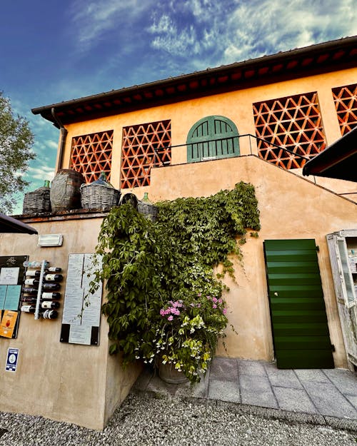 Foto profissional grátis de casa antiga, ferrão, tenuta do palácio