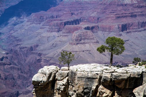 Δωρεάν στοκ φωτογραφιών με grand canyon, rock, αξιοθέατα Φωτογραφία από στοκ φωτογραφιών
