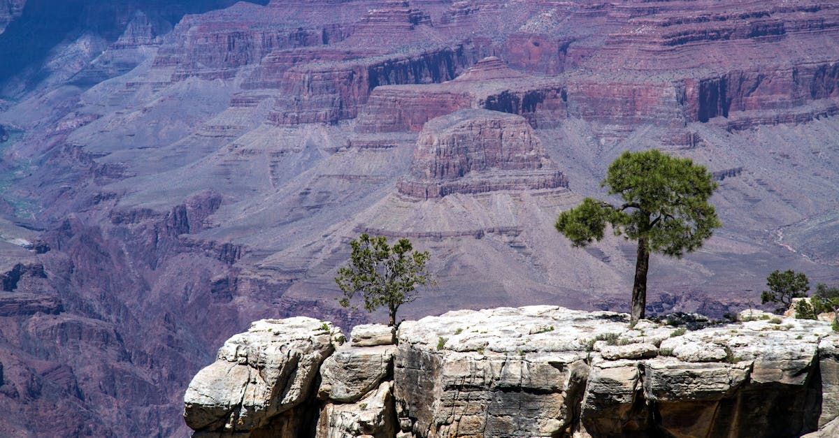 How far is the Grand canyon from phoenix AZ