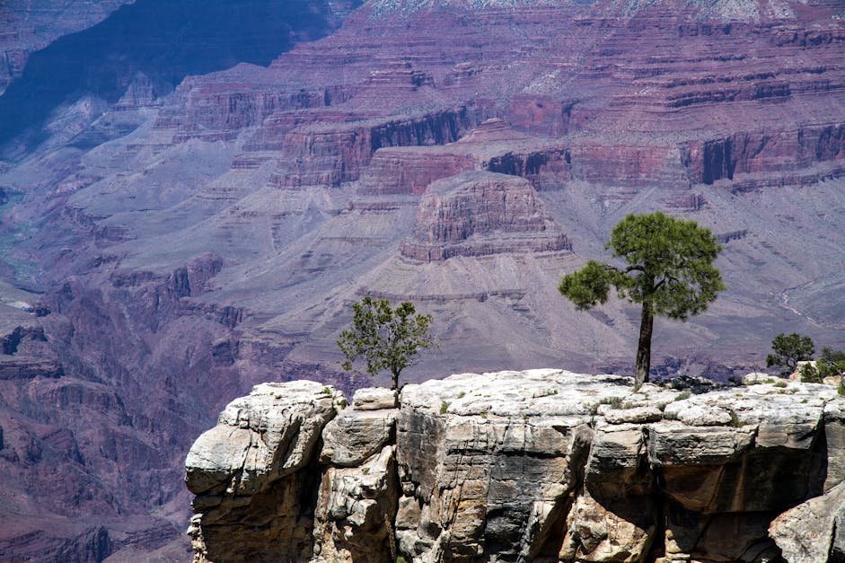 How far is the Grand canyon from phoenix AZ