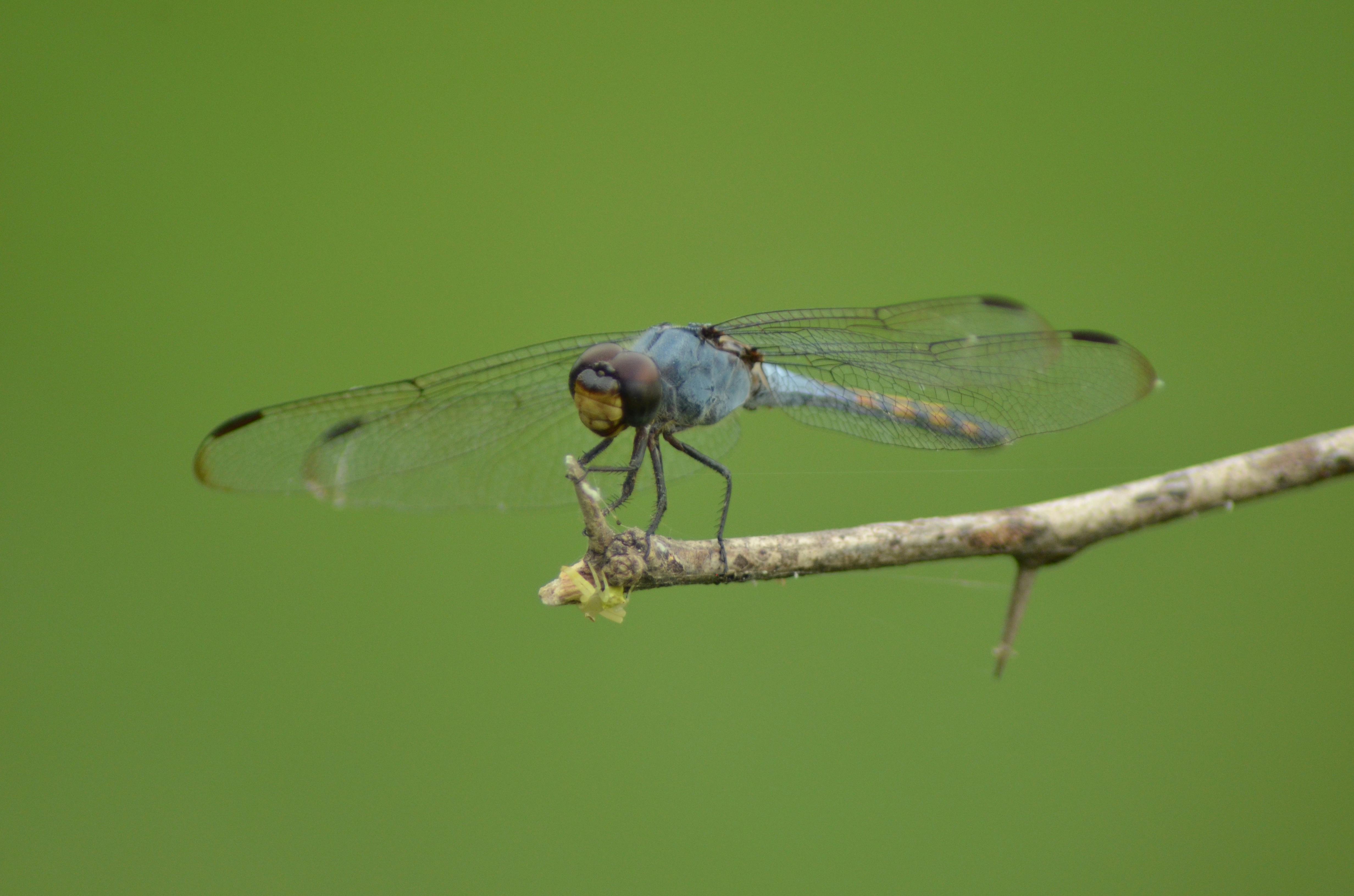 Explore Bahnhofstrasse