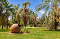 西班牙瓦伦西亚阳光明媚的公园里，风景中有棕榈树和粘土花瓶