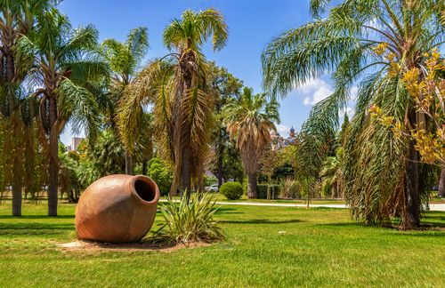 Free Scenic view of palm trees and a clay vase in a sunny park in Valencia, Spain. Stock Photo