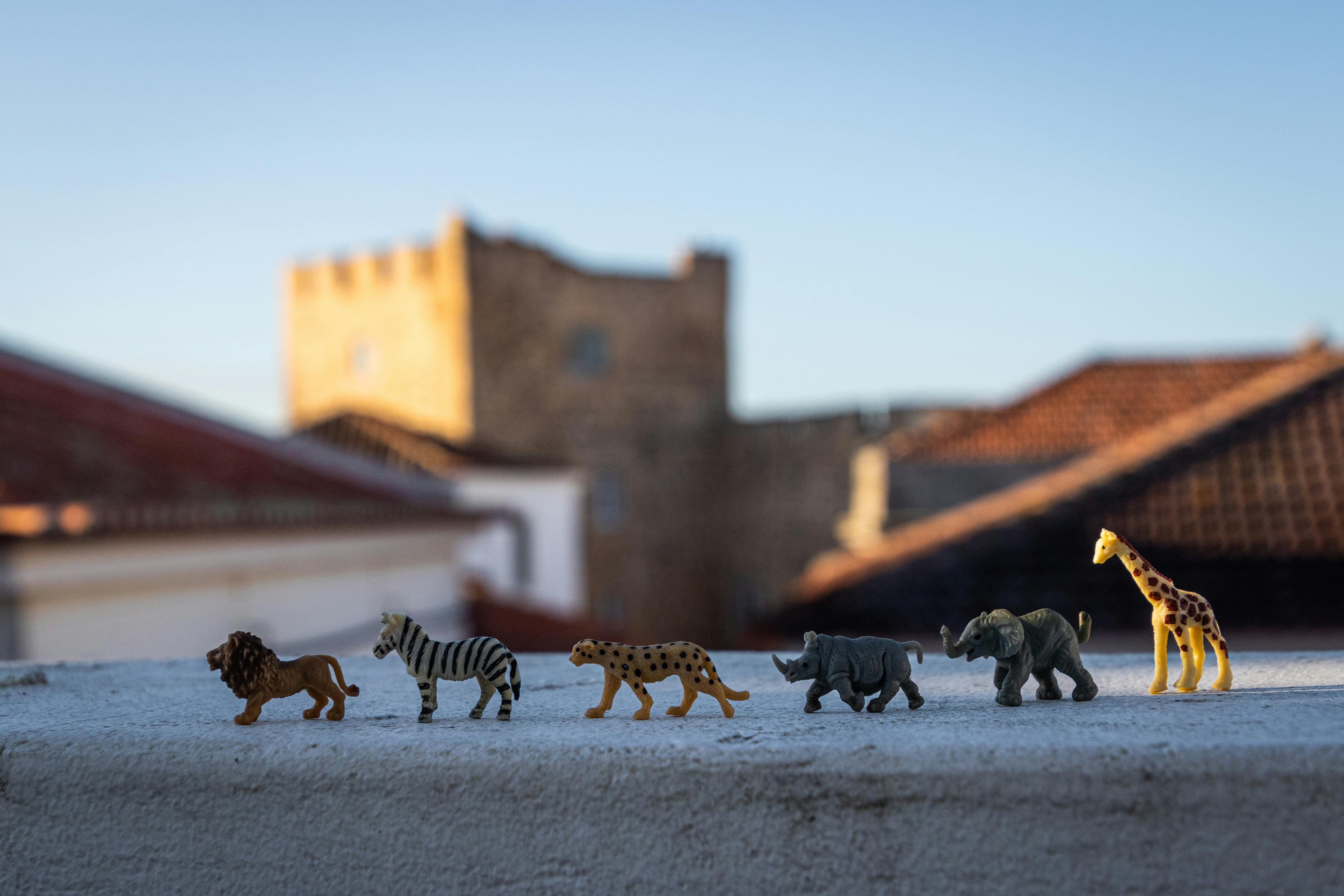 group of animal figurines