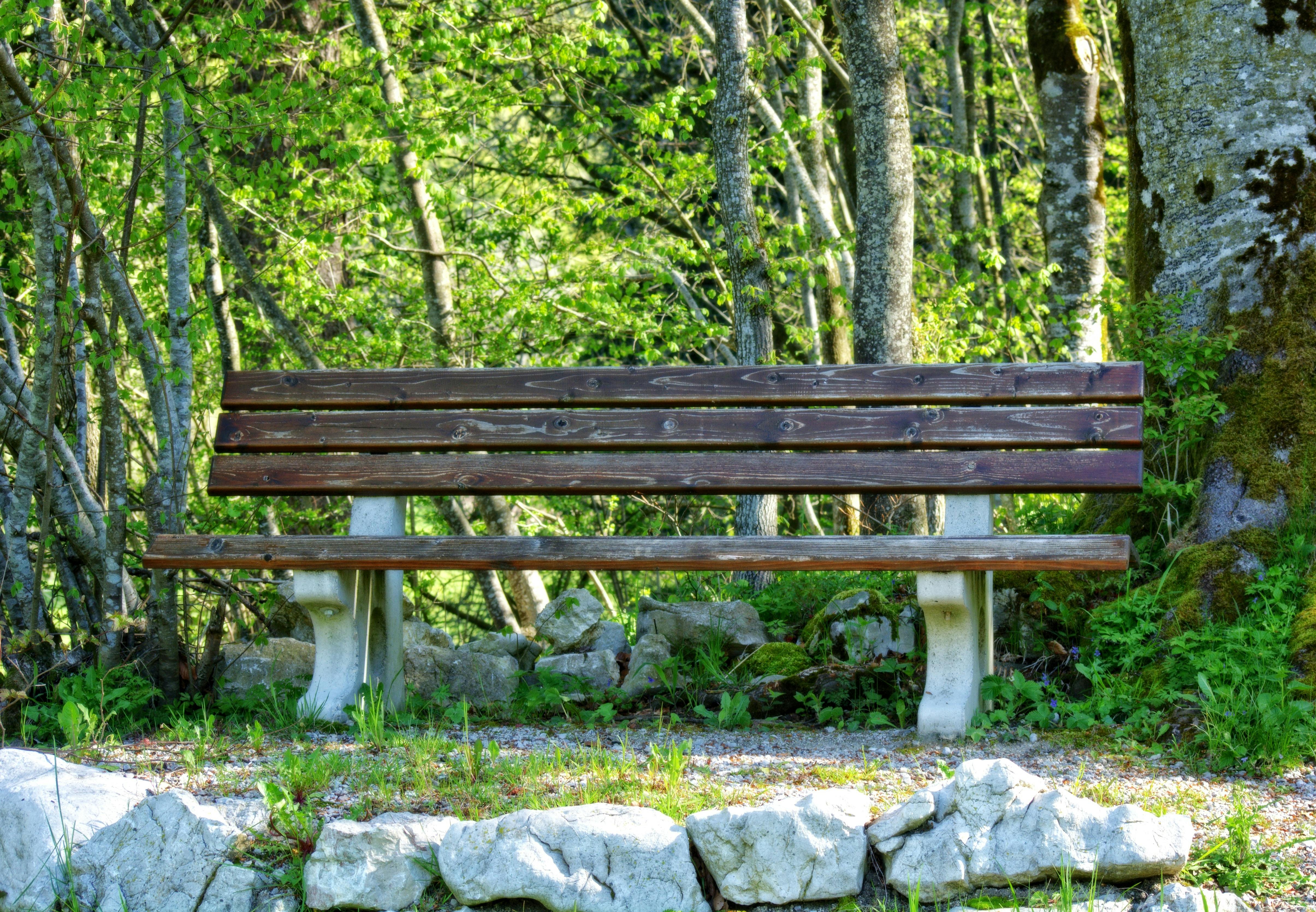 A Bench In A Park Bench in Park · Free Stock Photo