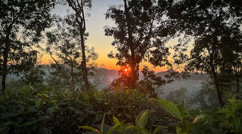 Бесплатное стоковое фото с meghalaya, ассам, закат