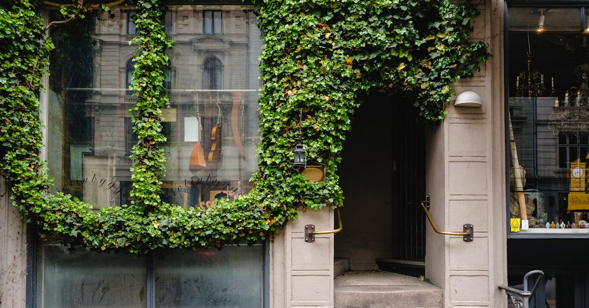 為永續開趴!富宇「共響音樂生活節」推動有感綠色生活