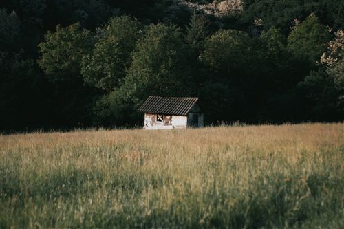 Free Explore a quaint cabin nestled amid lush meadow and forest in Hungary. Stock Photo