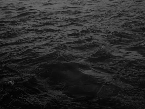 Free Grayscale Photo Of Body Of Water Stock Photo