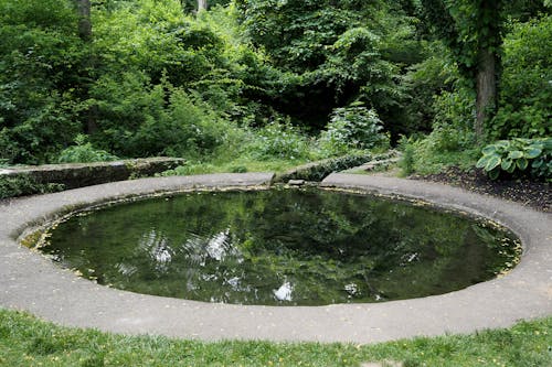 The pond close to the castle.