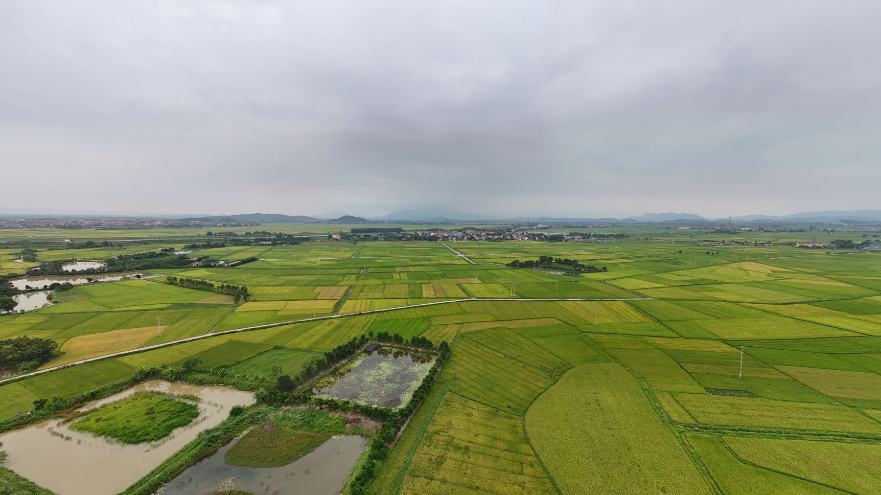 Explore the lush green landscapes of YΓͺn DΕ©ng District in Bac Giang, Vietnam from an aerial perspective.