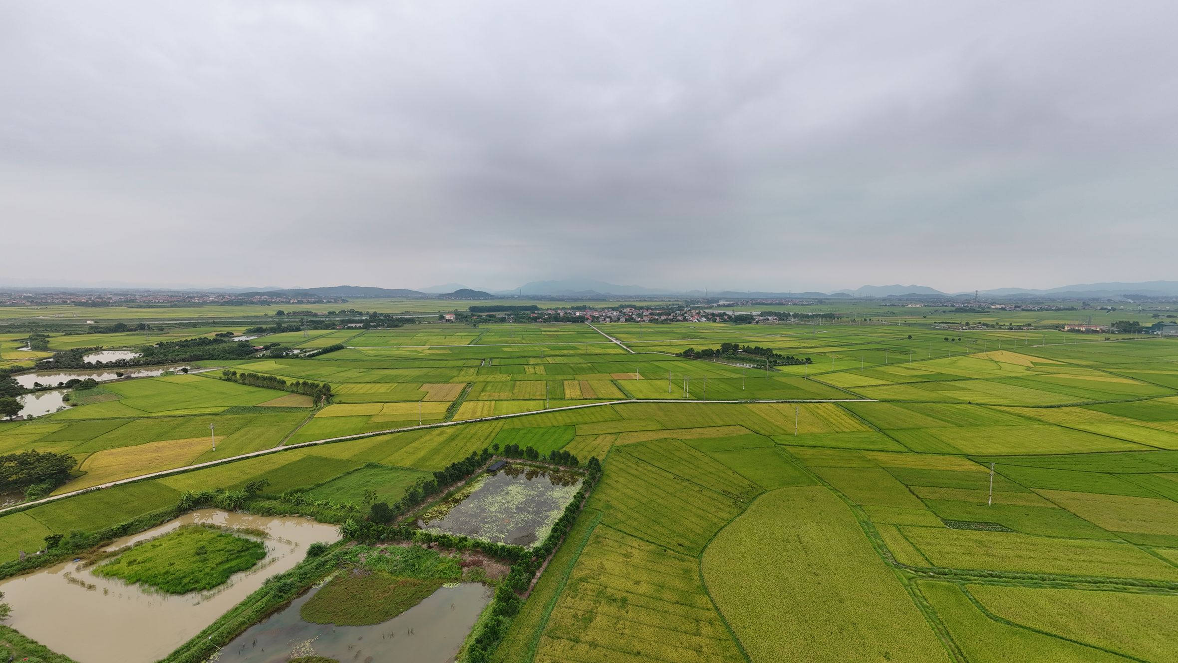 Explore the lush green landscapes of Yên Dũng District in Bac Giang, Vietnam from an aerial perspective.