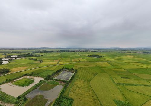 Free Explore the lush green landscapes of Yên Dũng District in Bac Giang, Vietnam from an aerial perspective. Stock Photo