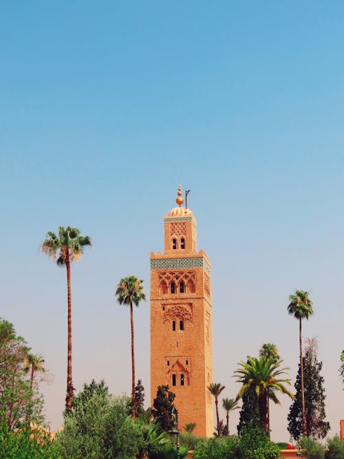 A tower with palm trees in the background