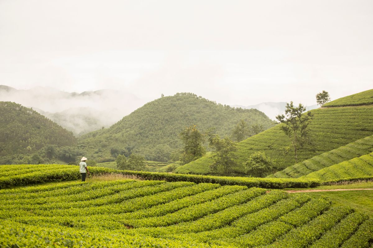 Bornage de terrain : quand est-il obligatoire ? - Qui peut demander un bornage de terrain ?