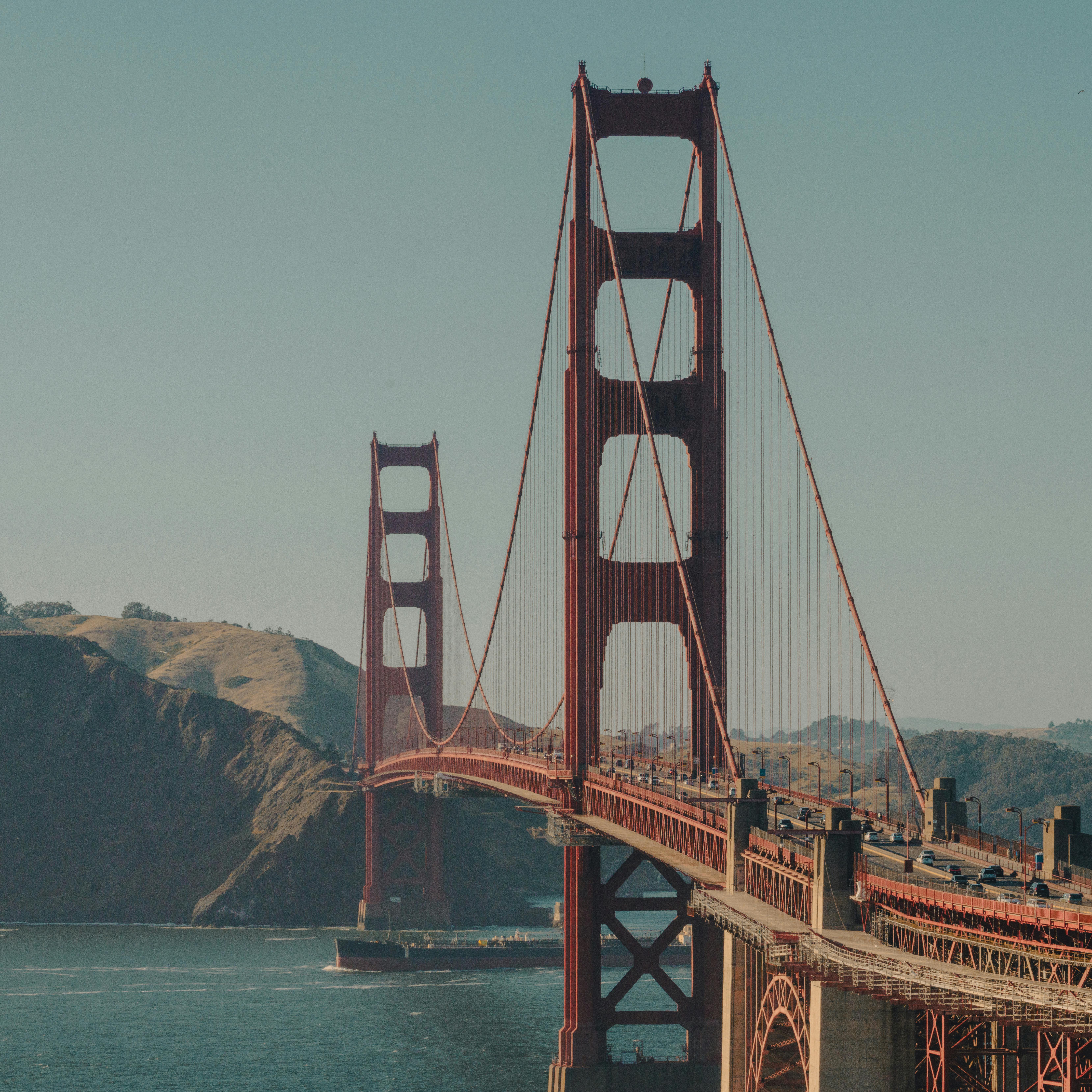 منشار دائري