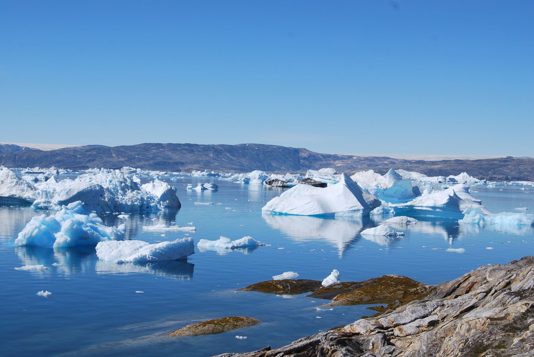 Icebergs near Tiniteqilaaq, Greenland