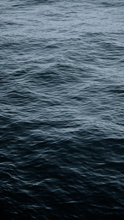 H2O, さざ波, しわくちゃの無料の写真素材