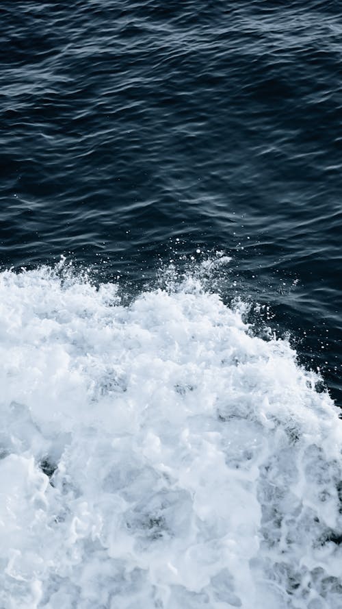 H2O, サーフィン, しぶきの無料の写真素材