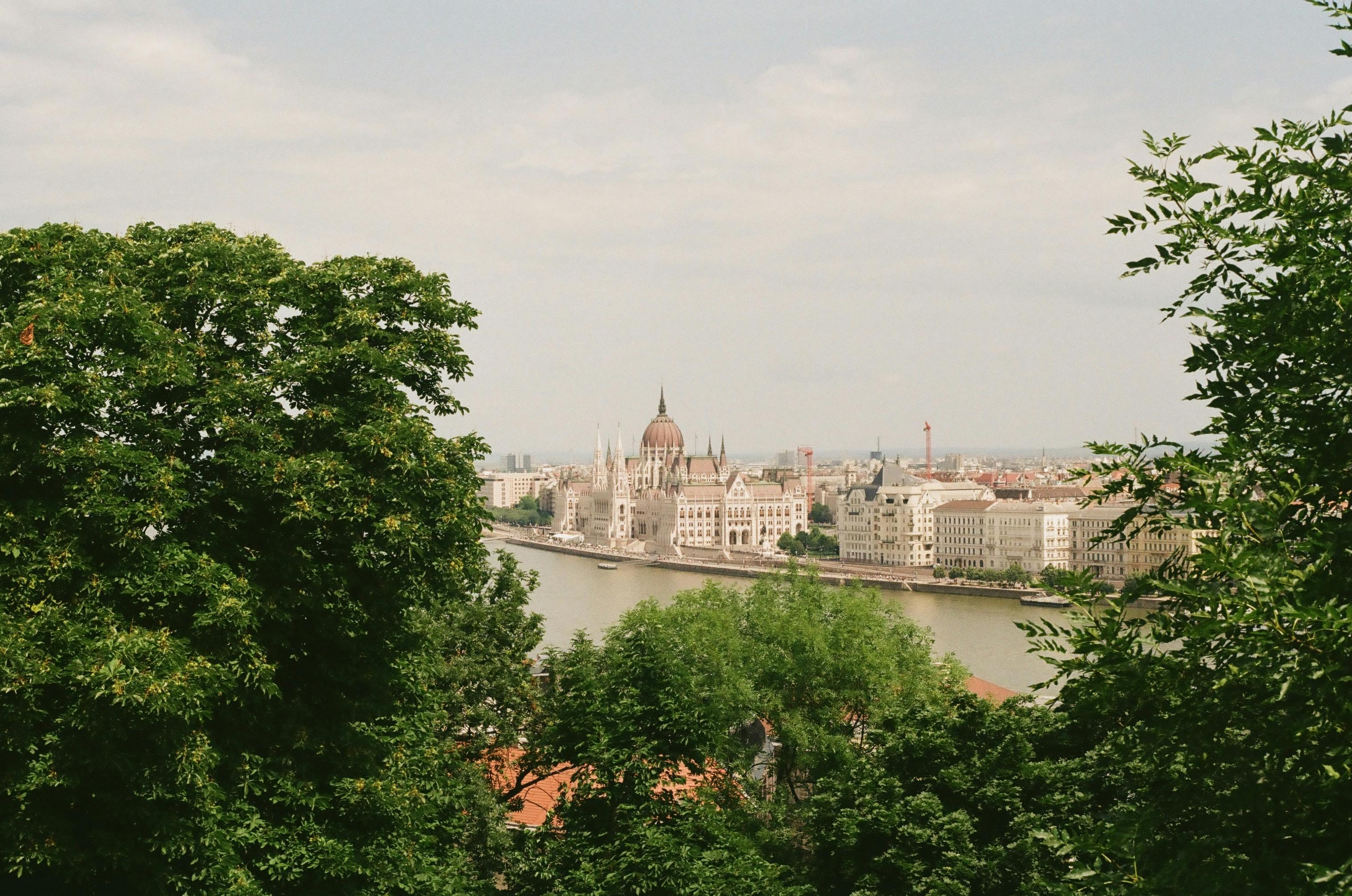 A beautiful view of the Budapest Parliament building along the Danube River framed by lush trees.